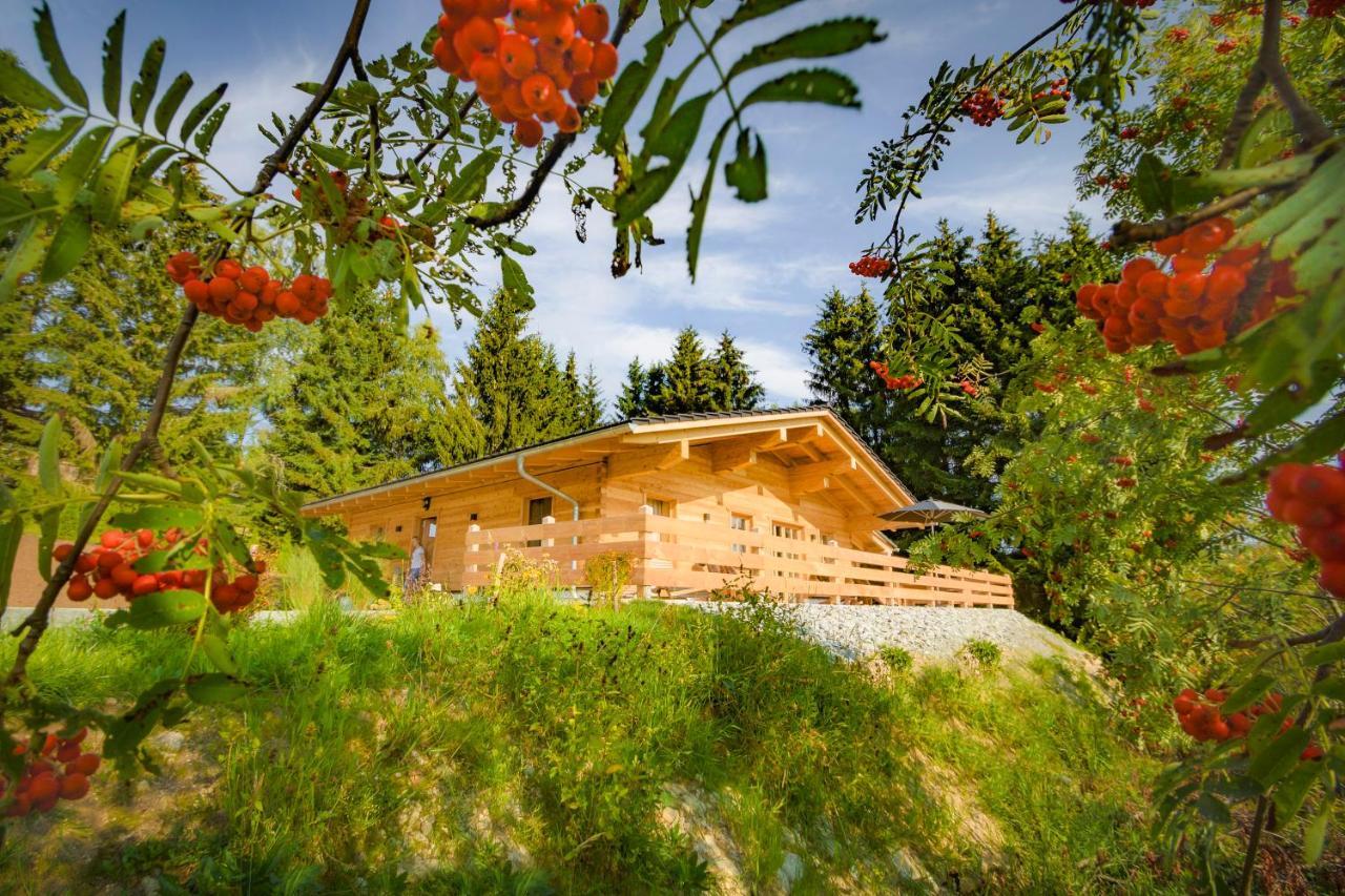 Das Wistlberg Wohlfuehlchalet Mauth Exterior photo
